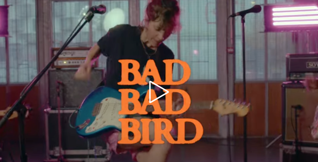 Bad Bad Bird Live session